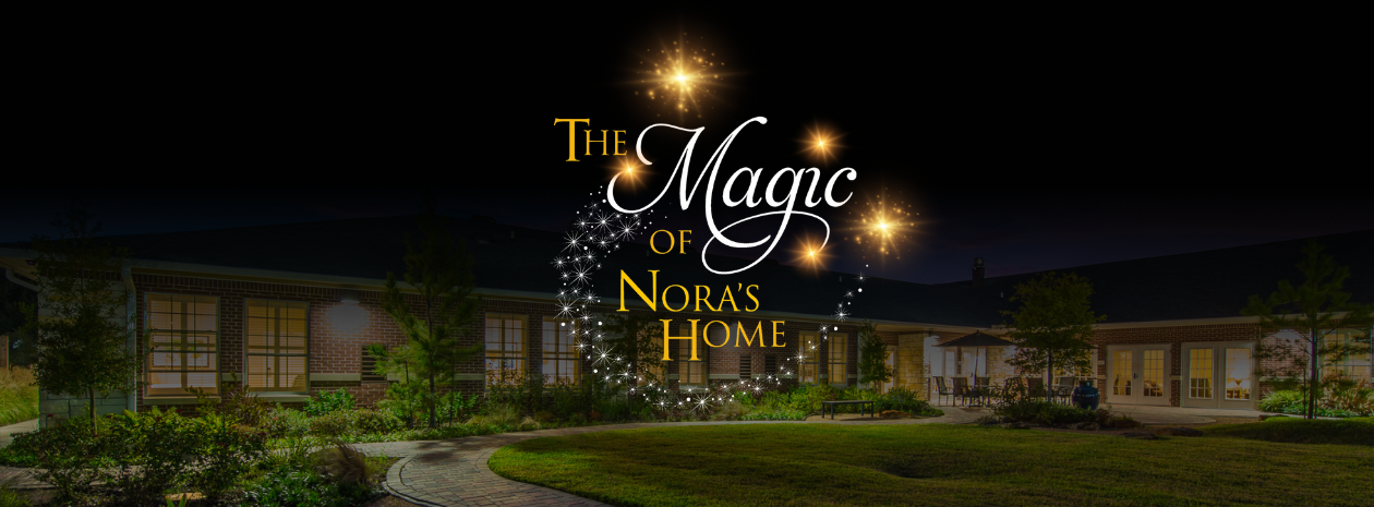Nora's Home 2026 Gala: The Magic of Nora's Home